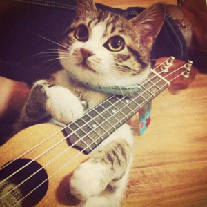 白袜女初高中被❌❌
